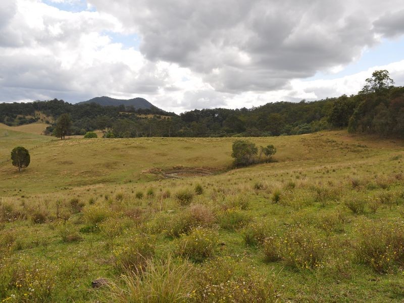 Lot 612 Taylors Arm Rd, Yarranbella NSW 2447