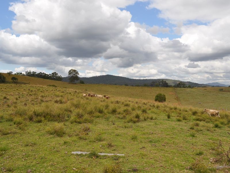 Lot 612 Taylors Arm Rd, Yarranbella NSW 2447