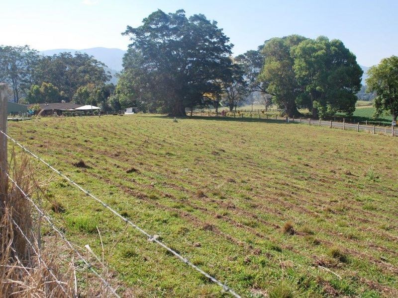1882 Waterfall Way, Bellingen NSW 2454