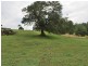 1882 Waterfall Way, Bellingen NSW 2454