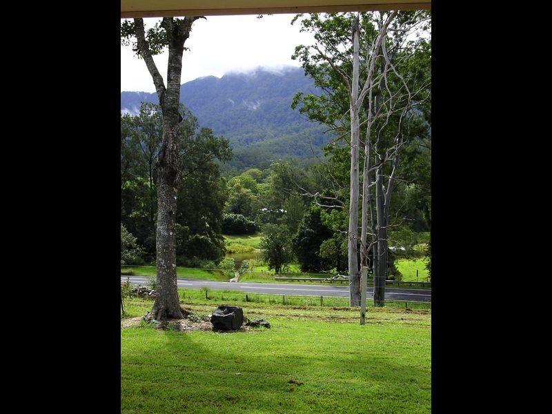 1882 Waterfall Way, Bellingen NSW 2454