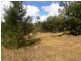 Lot 81 Parker Road, Lanitza NSW 2460
