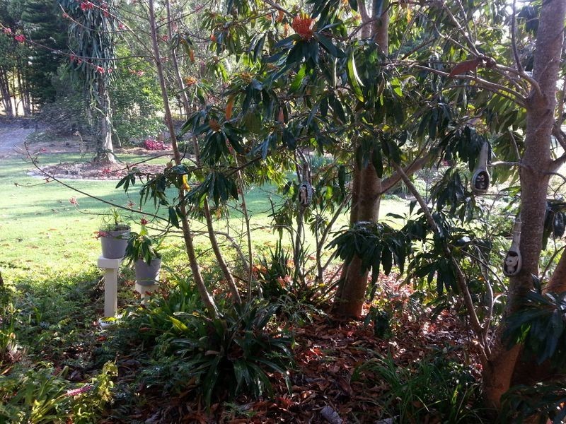 189 North Bonville Road, Bonville NSW 2441