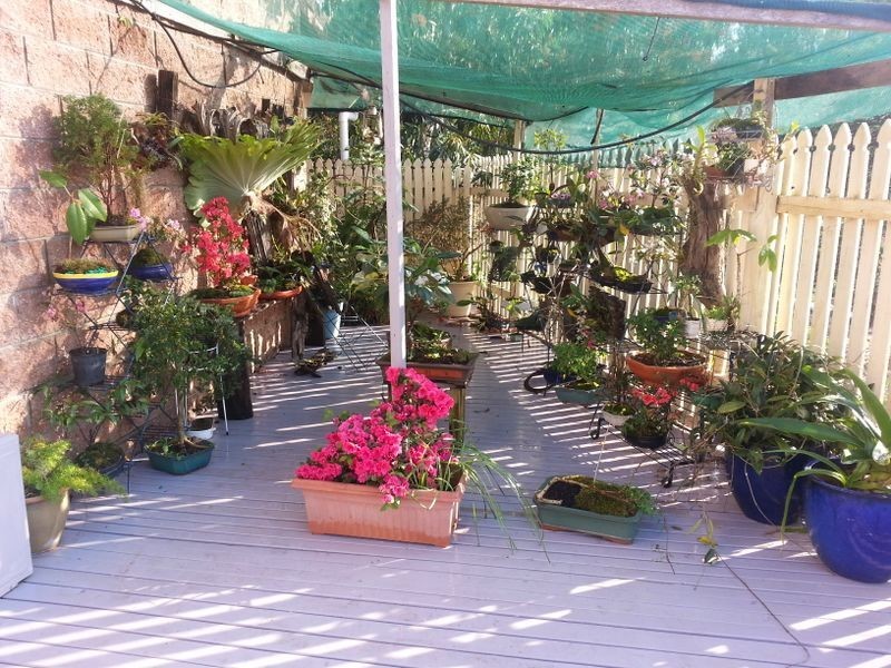 189 North Bonville Road, Bonville NSW 2441