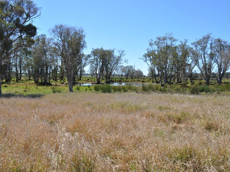 75 East Street, Macksville NSW 2447