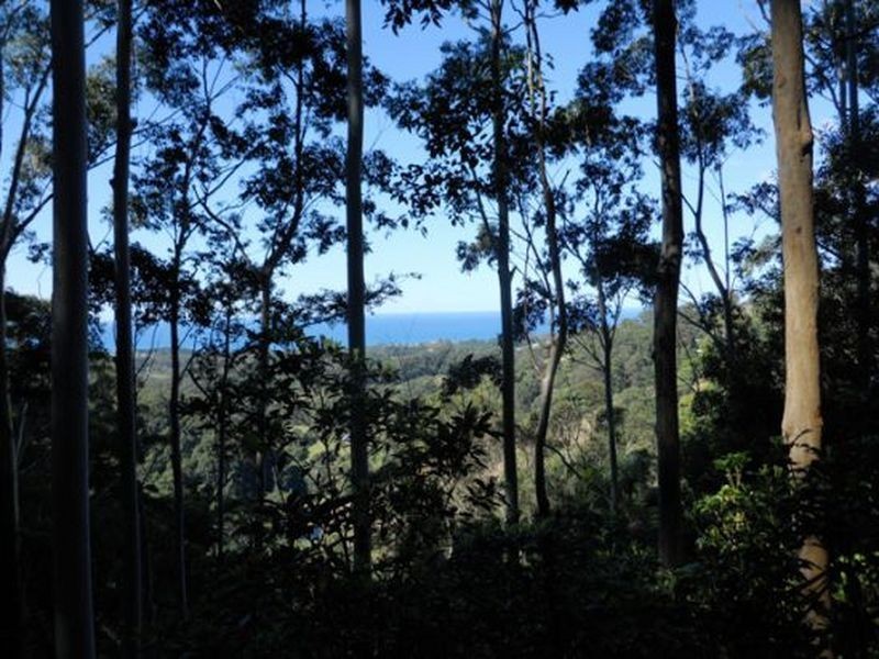 Lot 30 Bruxner Park Road, Coffs Harbour NSW 2450