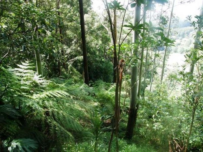 Lot 30 Bruxner Park Road, Coffs Harbour NSW 2450