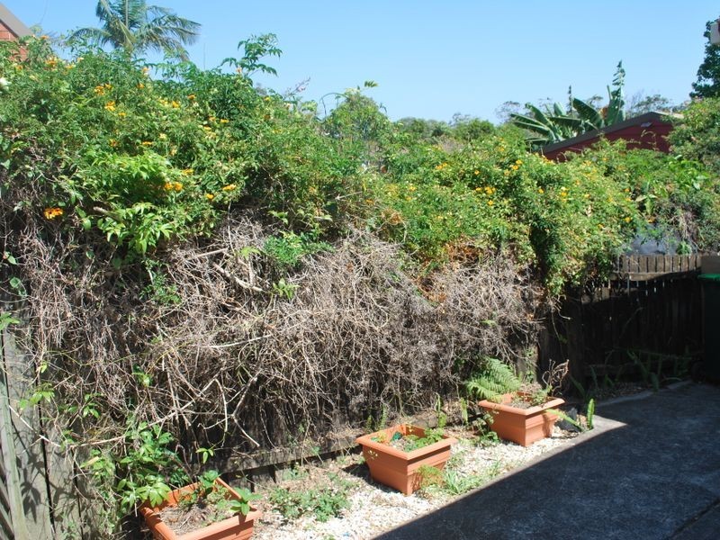 2/4 Mann Close, Coffs Harbour NSW 2450