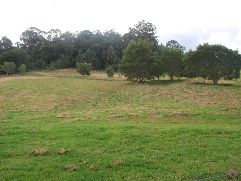 420 Crossmaglen Road, Bonville NSW 2441