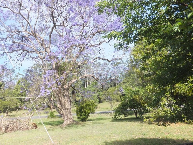 539 Orara Way, Nana Glen NSW 2450