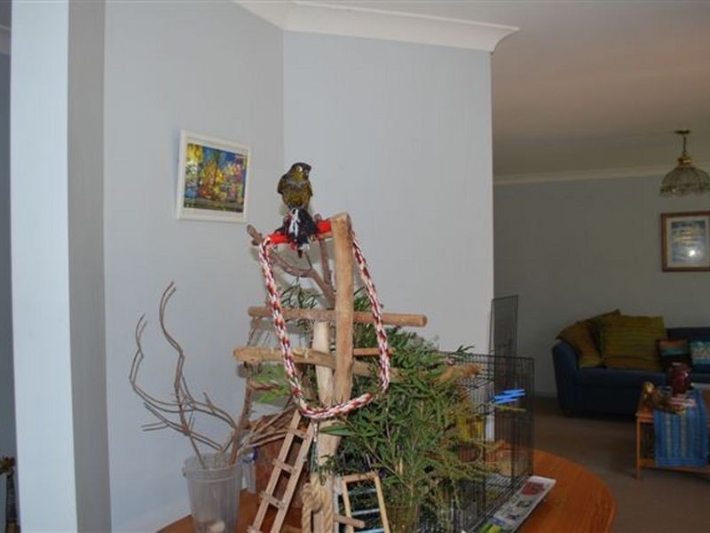 2/70 Reid Drive, Coffs Harbour NSW 2450