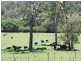 9 Brennans Road, Glenreagh NSW 2450