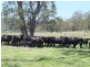 9 Brennans Road, Glenreagh NSW 2450