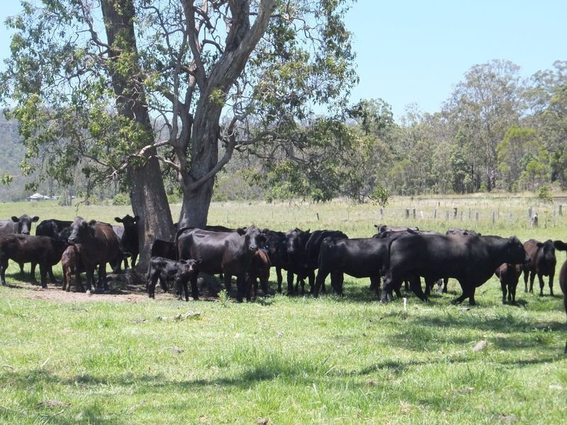 9 Brennans Road, Glenreagh NSW 2450