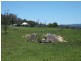 9 Brennans Road, Glenreagh NSW 2450