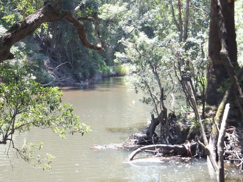 9 Brennans Road, Glenreagh NSW 2450