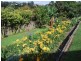 158 Shephards Lane, Coffs Harbour NSW 2450