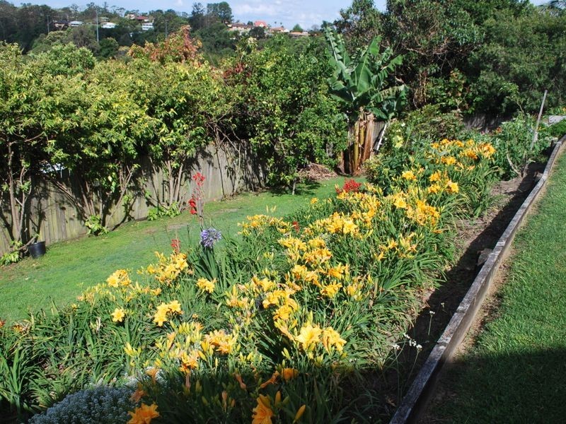 158 Shephards Lane, Coffs Harbour NSW 2450