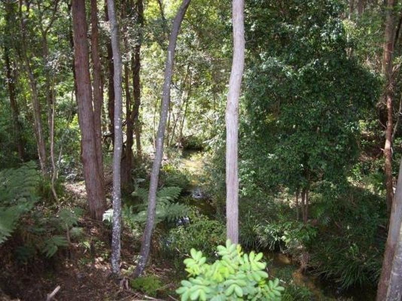 2/105 Argyll Street, Coffs Harbour NSW 2450