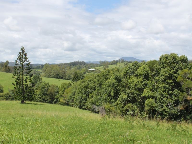 434 Hydes Creek Road, Bellingen NSW 2454