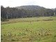 Lot 71 Cradle Creek Road, Lowanna NSW 2450