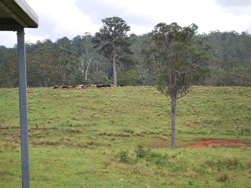 Lot 71 Cradle Creek Road, Lowanna NSW 2450
