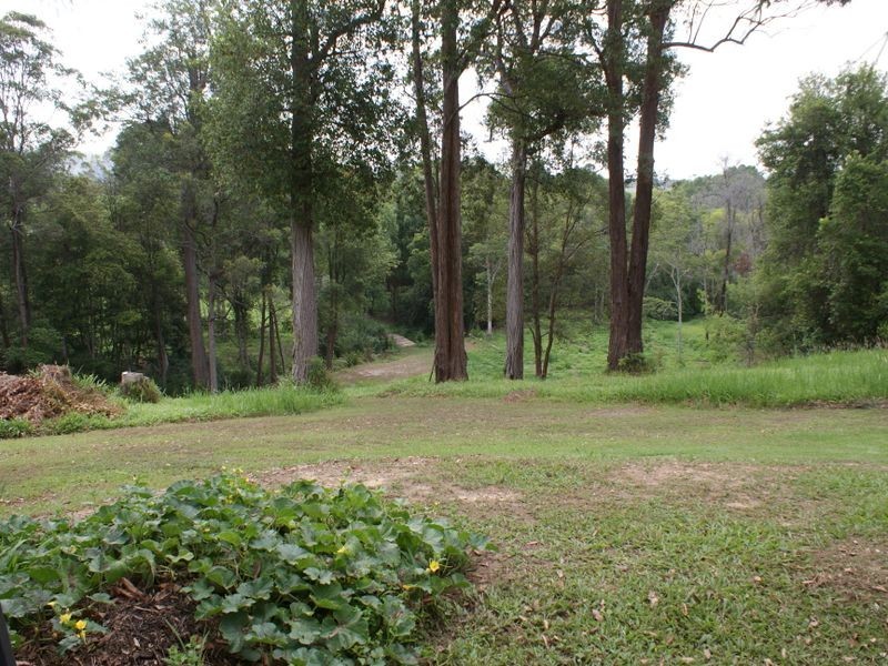 6 London Lane, Congarinni NSW 2447