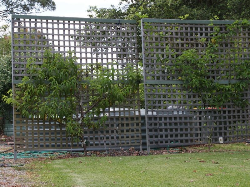 6 London Lane, Congarinni NSW 2447