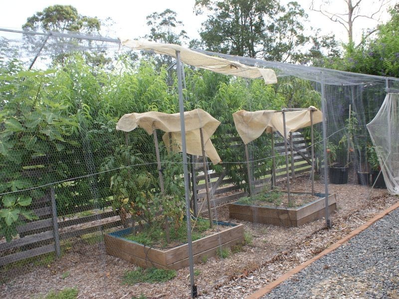 6 London Lane, Congarinni NSW 2447