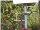 6 London Lane, Congarinni NSW 2447
