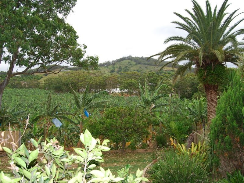 13 Hunter Close, Sapphire Beach NSW 2450