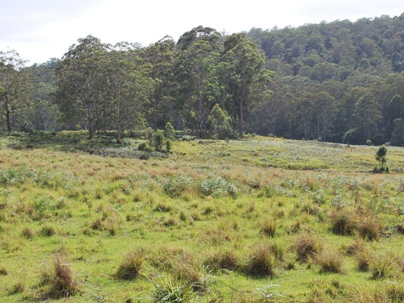 Lot 702 Cradle Creek Road, Lowanna NSW 2450