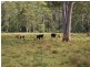 Lot 702 Cradle Creek Road, Lowanna NSW 2450