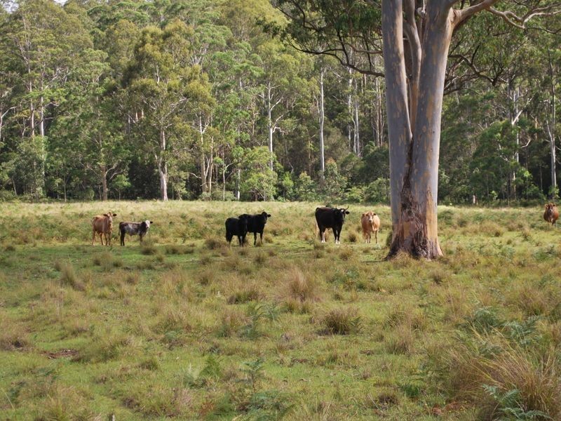 Lot 702 Cradle Creek Road, Lowanna NSW 2450