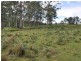 Lot 702 Cradle Creek Road, Lowanna NSW 2450
