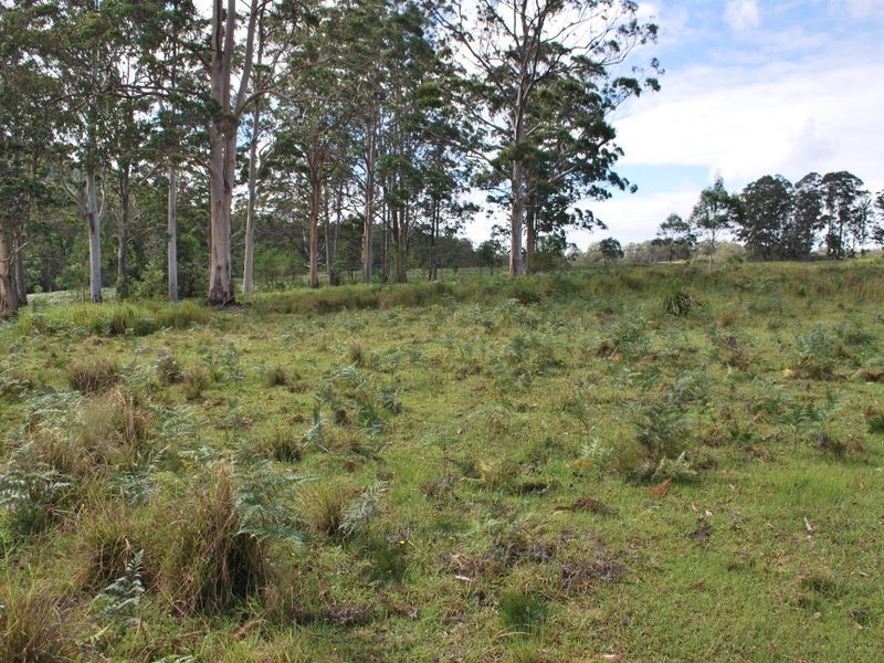 Lot 702 Cradle Creek Road, Lowanna NSW 2450