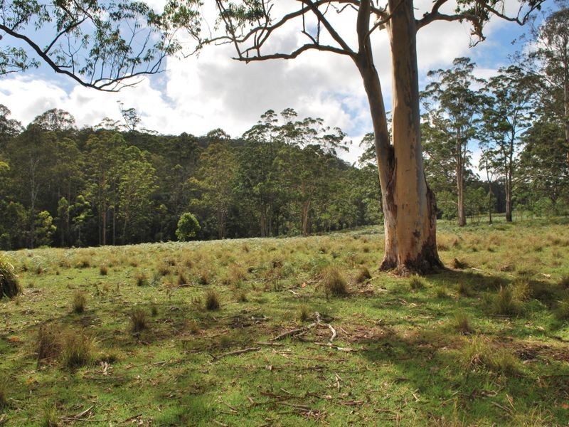 Lot 702 Cradle Creek Road, Lowanna NSW 2450