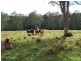 Lot 702 Cradle Creek Road, Lowanna NSW 2450