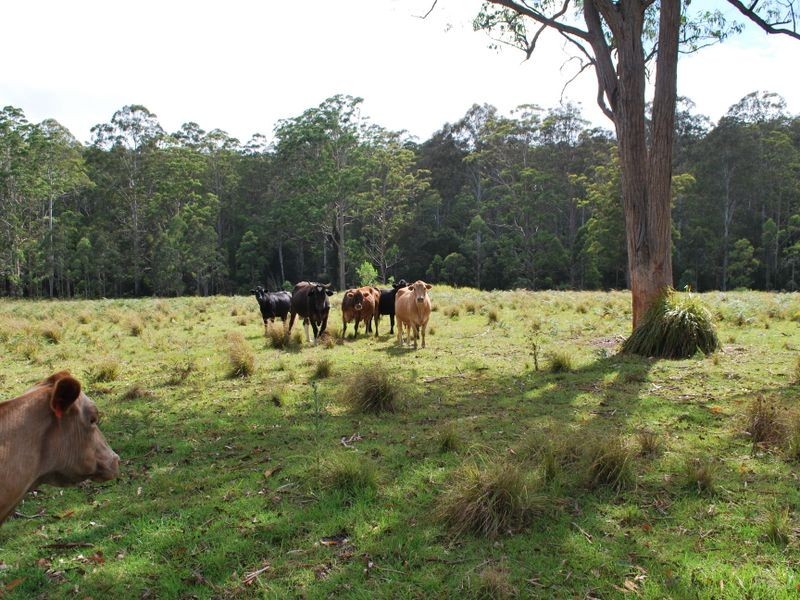 Lot 702 Cradle Creek Road, Lowanna NSW 2450