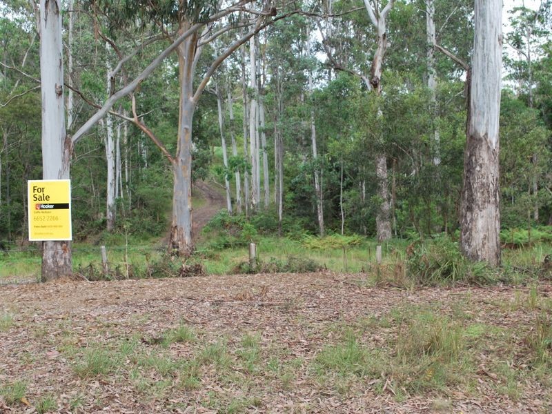 Lot 702 Cradle Creek Road, Lowanna NSW 2450
