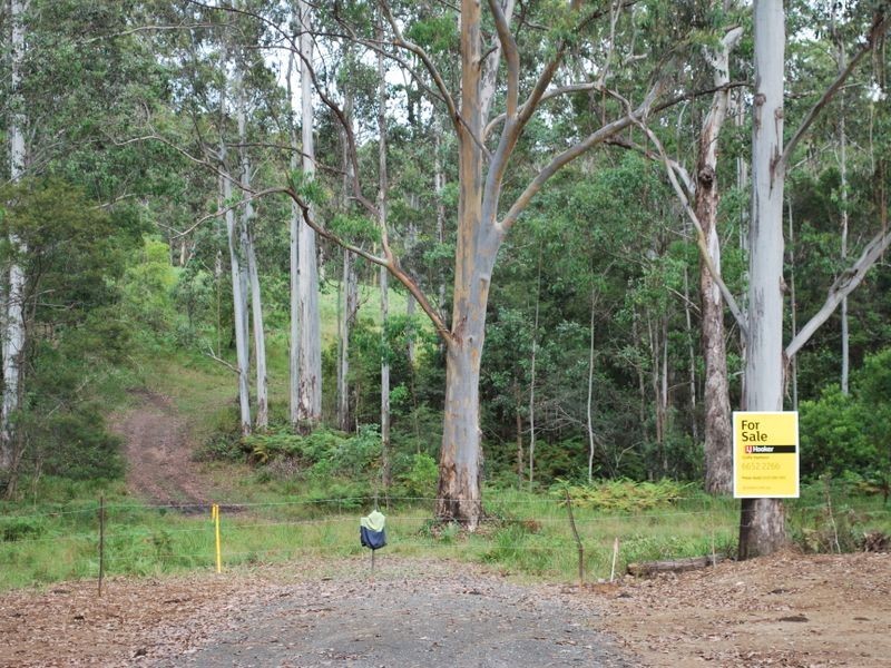 Lot 702 Cradle Creek Road, Lowanna NSW 2450