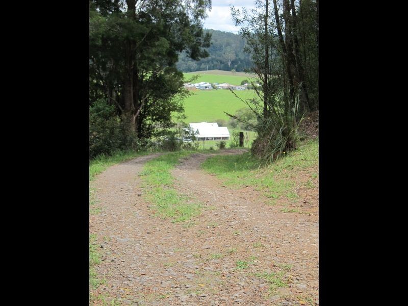 1802 Eastern Dorrigo Way, Ulong NSW 2450