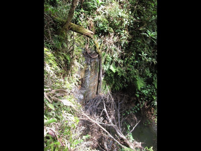 1802 Eastern Dorrigo Way, Ulong NSW 2450