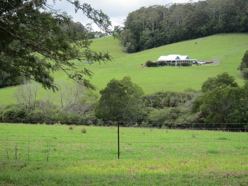 1802 Eastern Dorrigo Way, Ulong NSW 2450