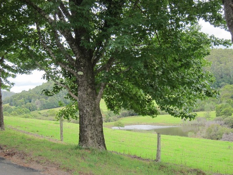 1802 Eastern Dorrigo Way, Ulong NSW 2450