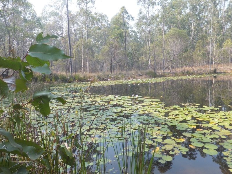 14 Stoney Ridge Road, Alumy Creek NSW 2460