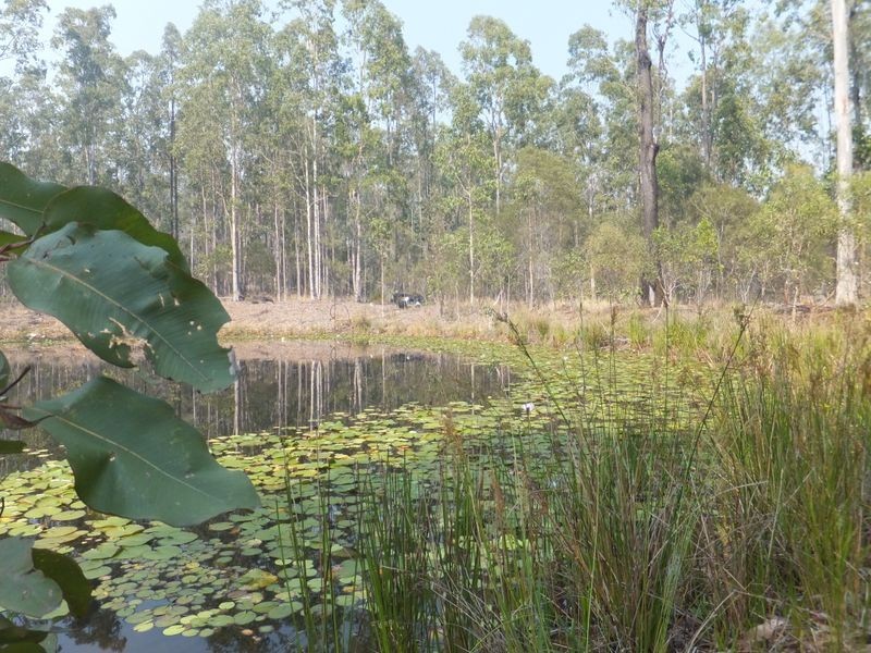 14 Stoney Ridge Road, Alumy Creek NSW 2460