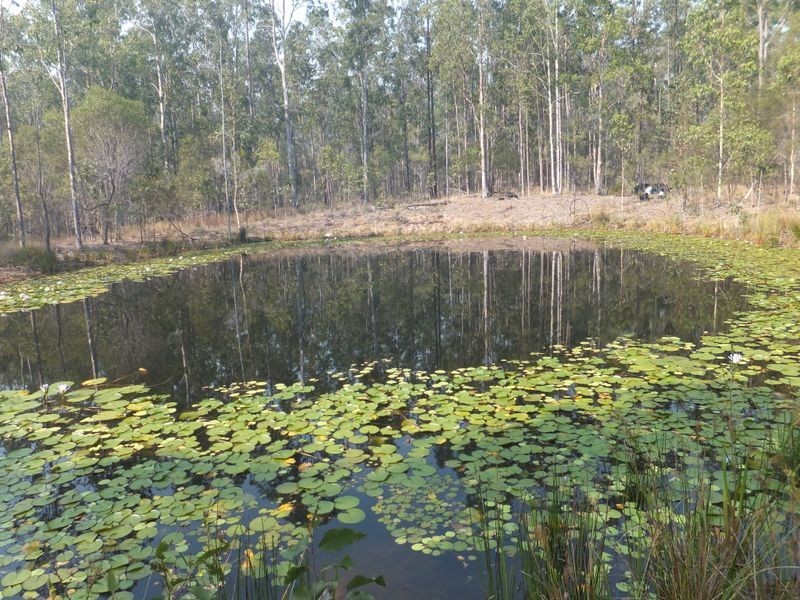 14 Stoney Ridge Road, Alumy Creek NSW 2460