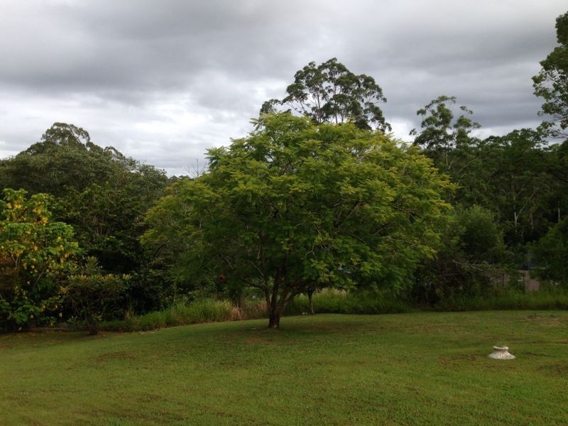 40 McDougall Place, Fernmount NSW 2454