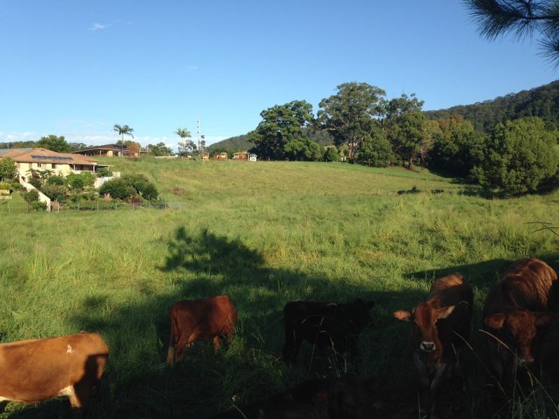 Lot 1 Shephards Lane, Coffs Harbour NSW 2450